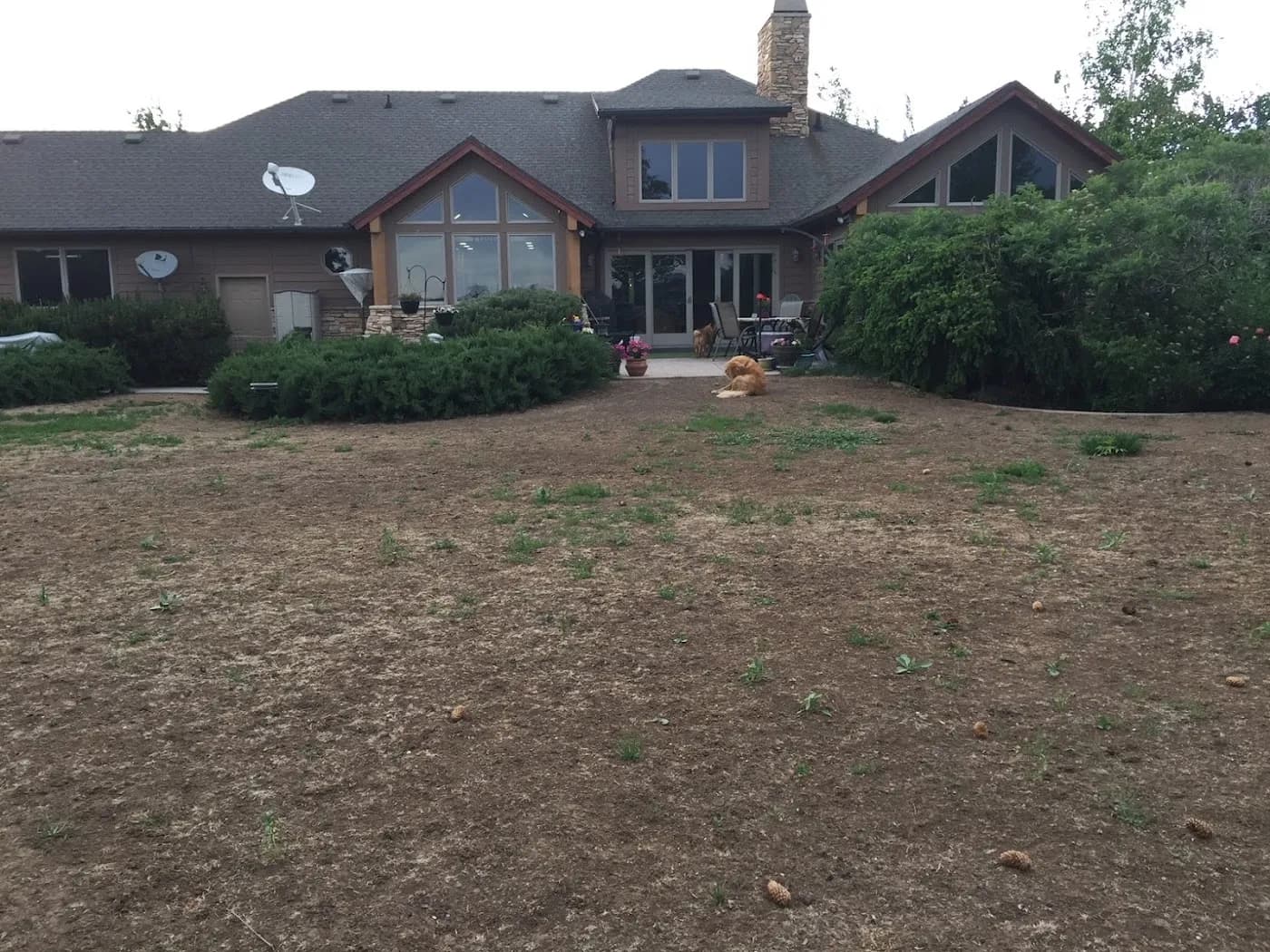 A dry, patchy Utah lawn before renovation, the result of guesswork watering
