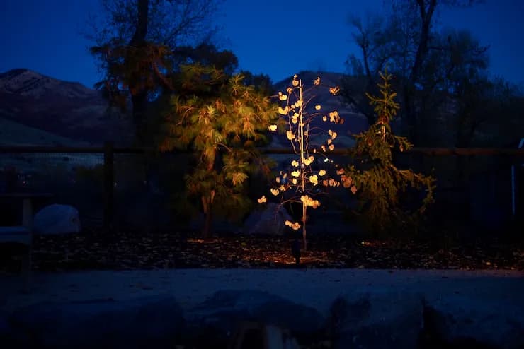 Landscape lighting project by Felter Landscape in Weber County, Utah