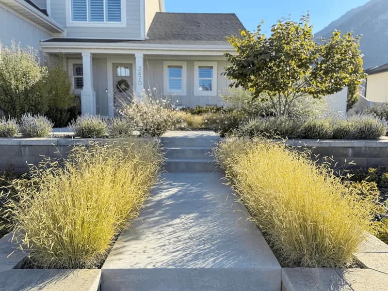 A water-wise Weber County front yard with ornamental grasses and planting beds instead of narrow turf