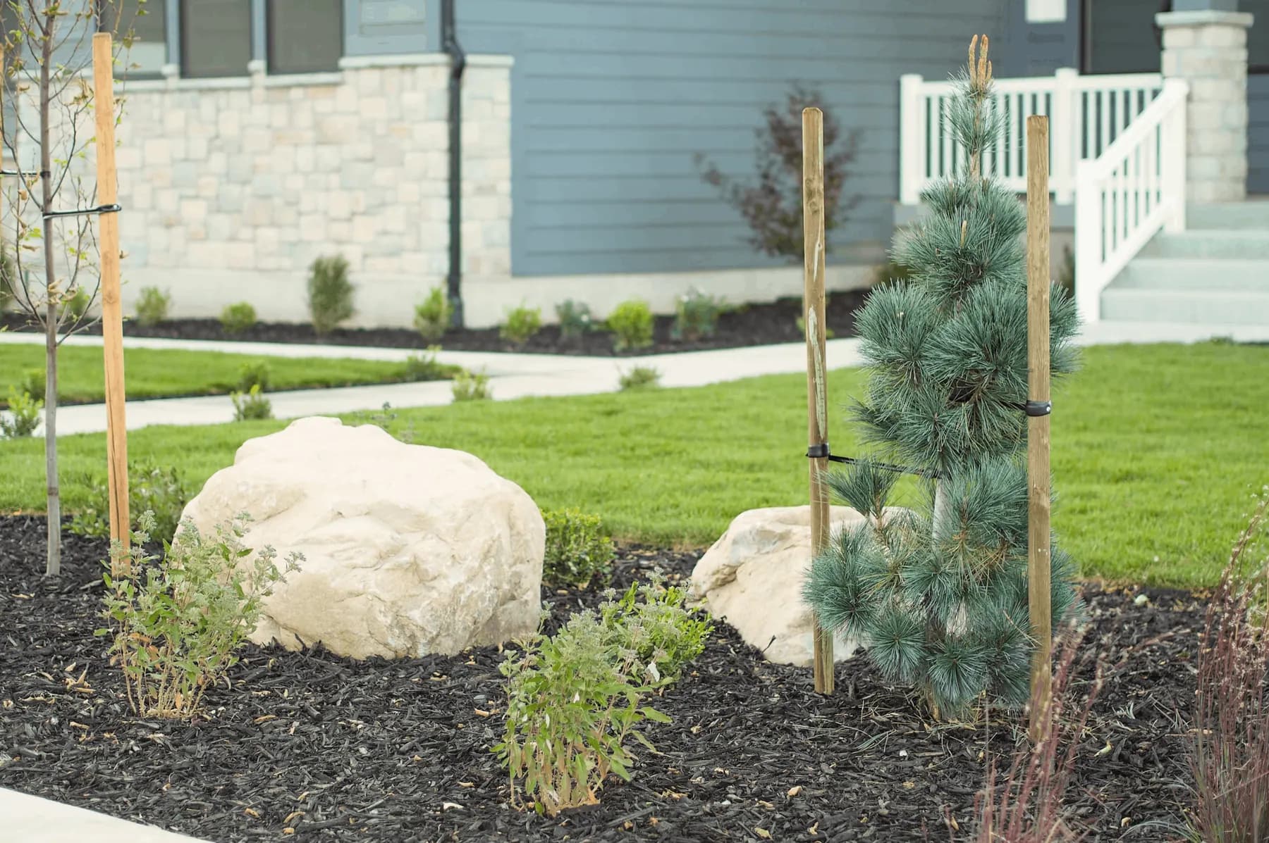 Visionary Lane landscape project by Felter Landscape in Northern Utah